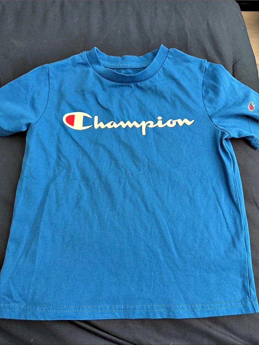 Champion Classic Script Logo T-Shirt Short Sleeve Logo Tee in Blue Like New